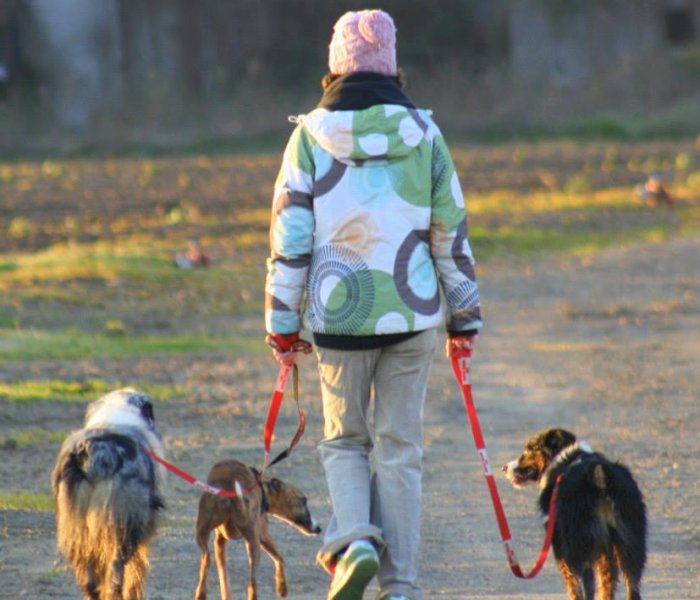 Amandogz trombi - Photo d'Amandine Goncalves