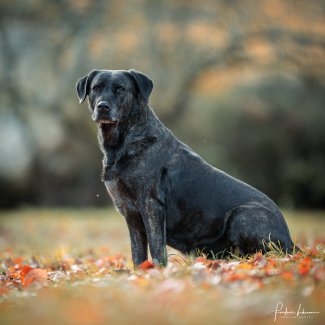 Amandogz trombi - Photo d'Amandine Goncalves